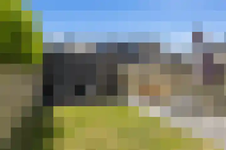 Lazuursteen 3 Houten thumbnail 14
