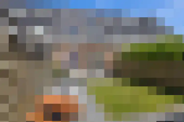 Lazuursteen 3 Houten thumbnail 18