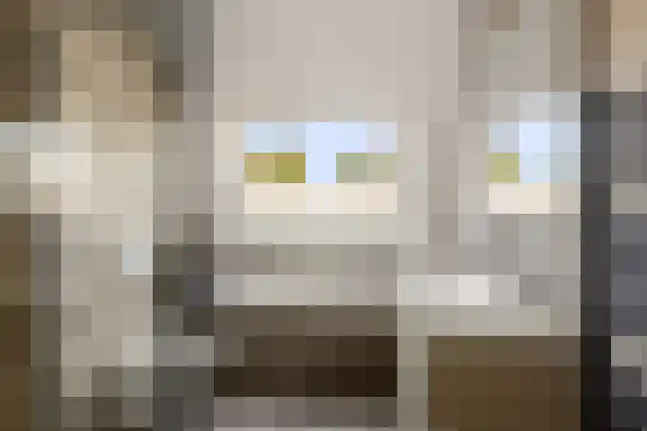 Lazuursteen 3 Houten thumbnail 22