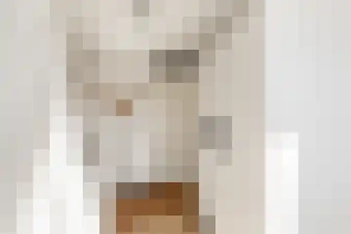 Lazuursteen 3 Houten thumbnail 29