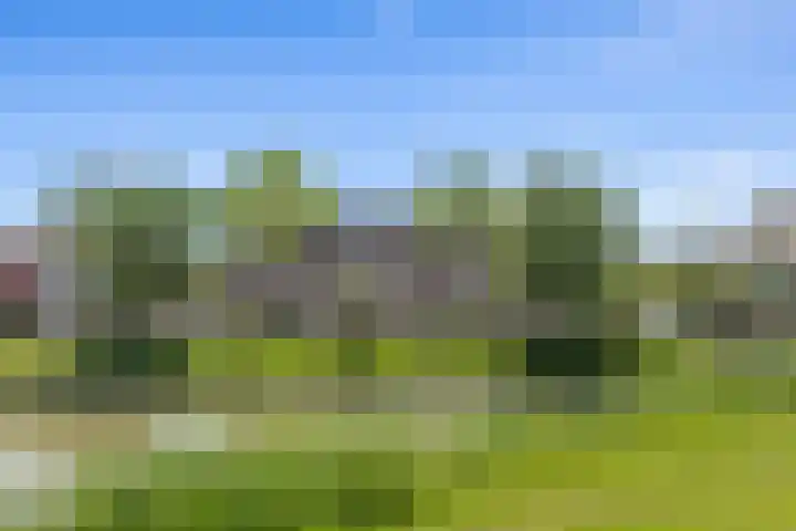Lazuursteen 3 Houten thumbnail 40