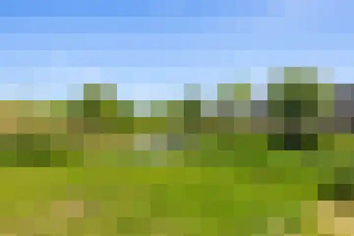 Lazuursteen 3 Houten thumbnail 41