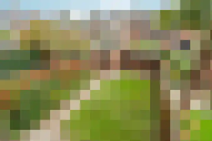 Lazuursteenstraat 5 Nijmegen thumbnail 17