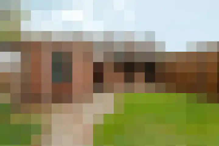 Lazuursteenstraat 5 Nijmegen thumbnail 34