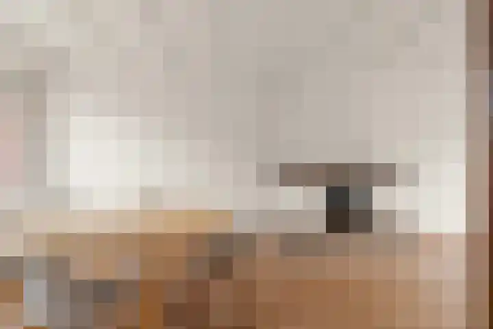 Lazuursteenstraat 5 Nijmegen thumbnail 4