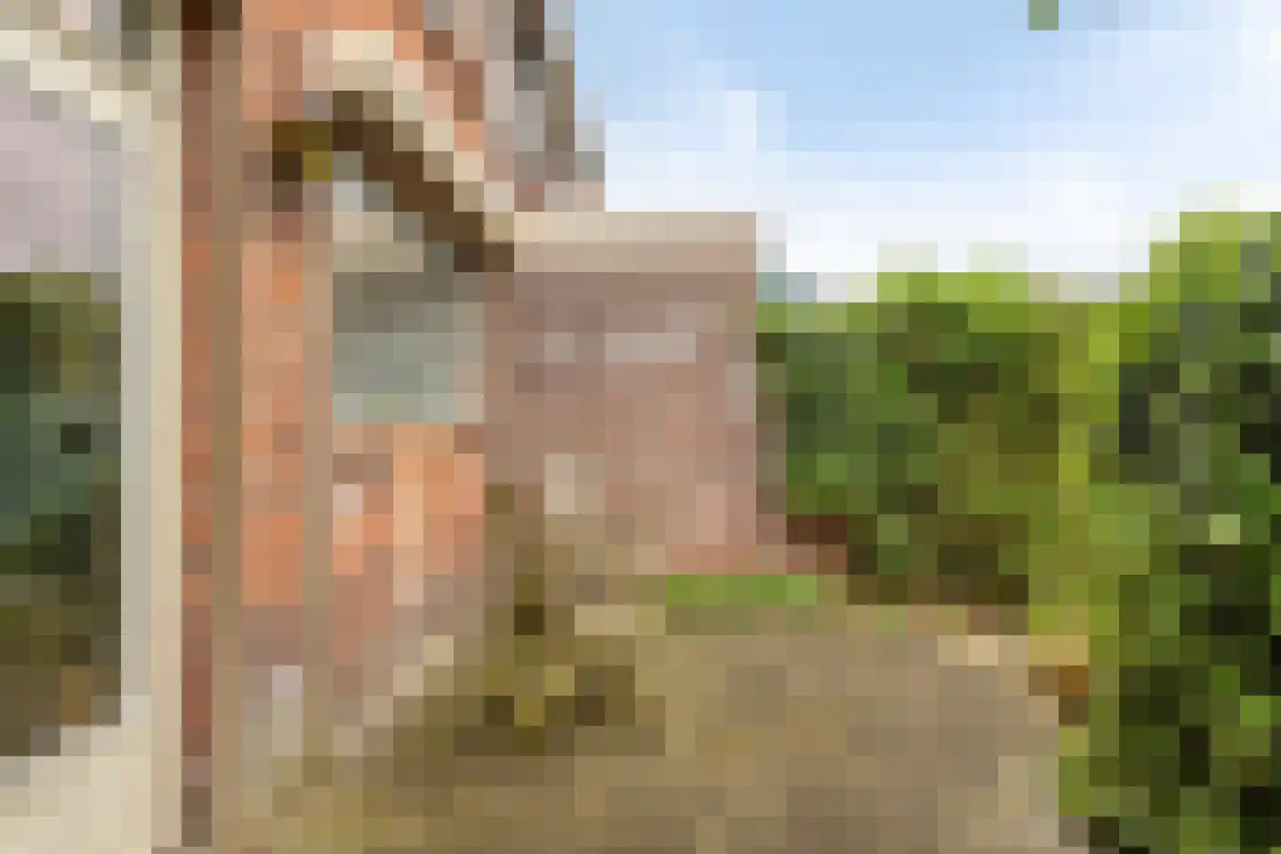 Lazuursteenstraat 6 Nijmegen thumbnail 38