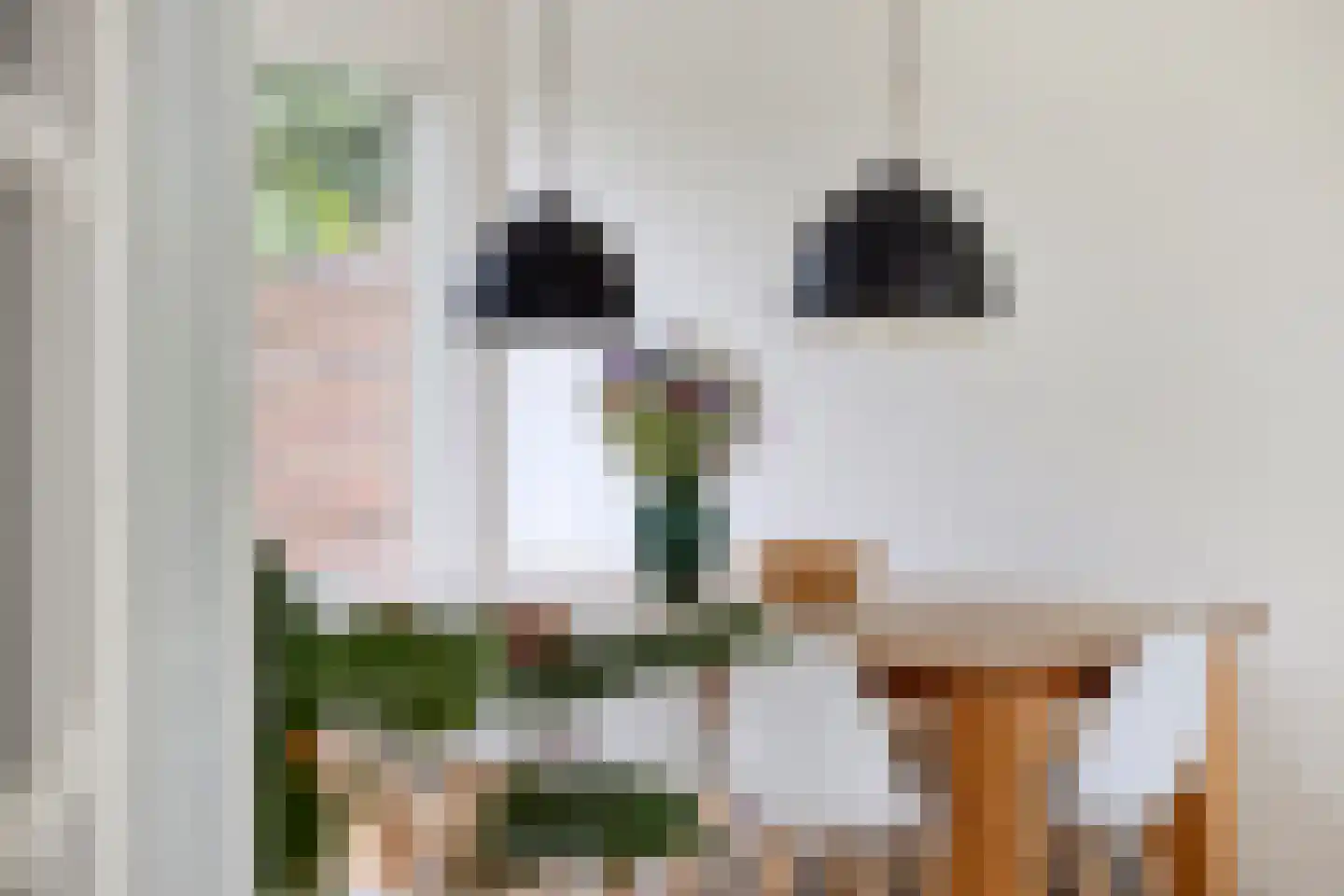 Lazuursteenstraat 6 Nijmegen thumbnail 8