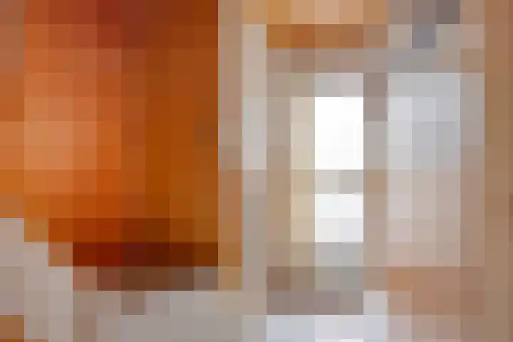 Le Bourgetstraat 2 Tilburg thumbnail 15