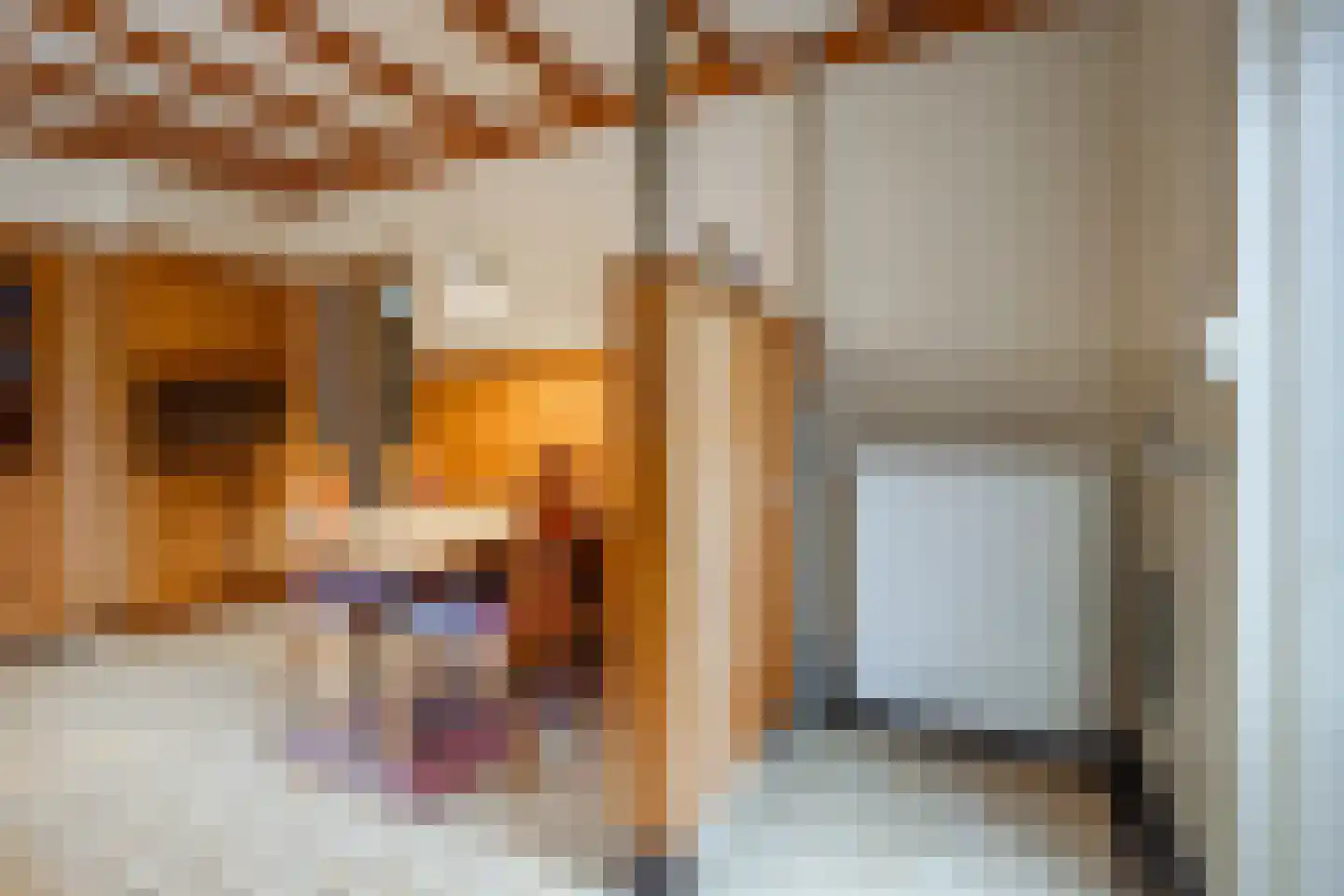 Le Bron de Vexelastraat 10 Roermond thumbnail 10