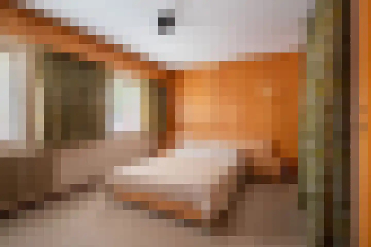 Le Bron de Vexelastraat 10 Roermond thumbnail 13