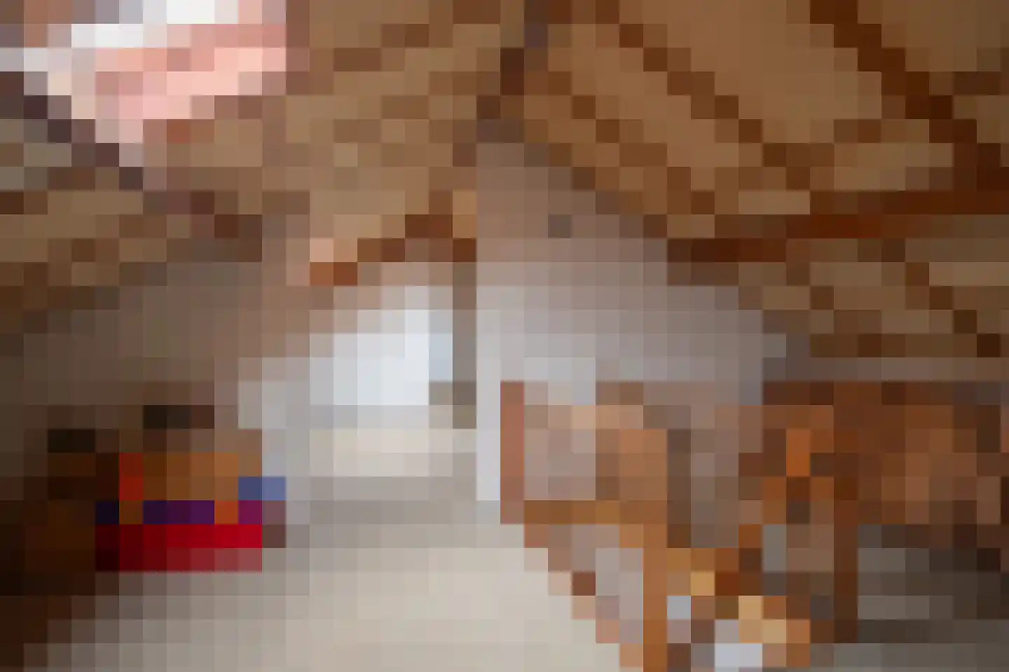 Le Bron de Vexelastraat 10 Roermond thumbnail 21