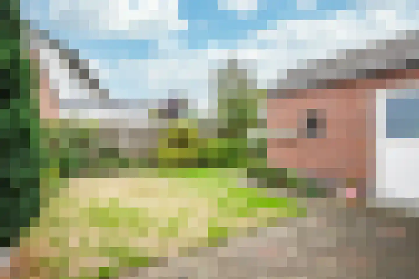 Le Bron de Vexelastraat 10 Roermond thumbnail 24