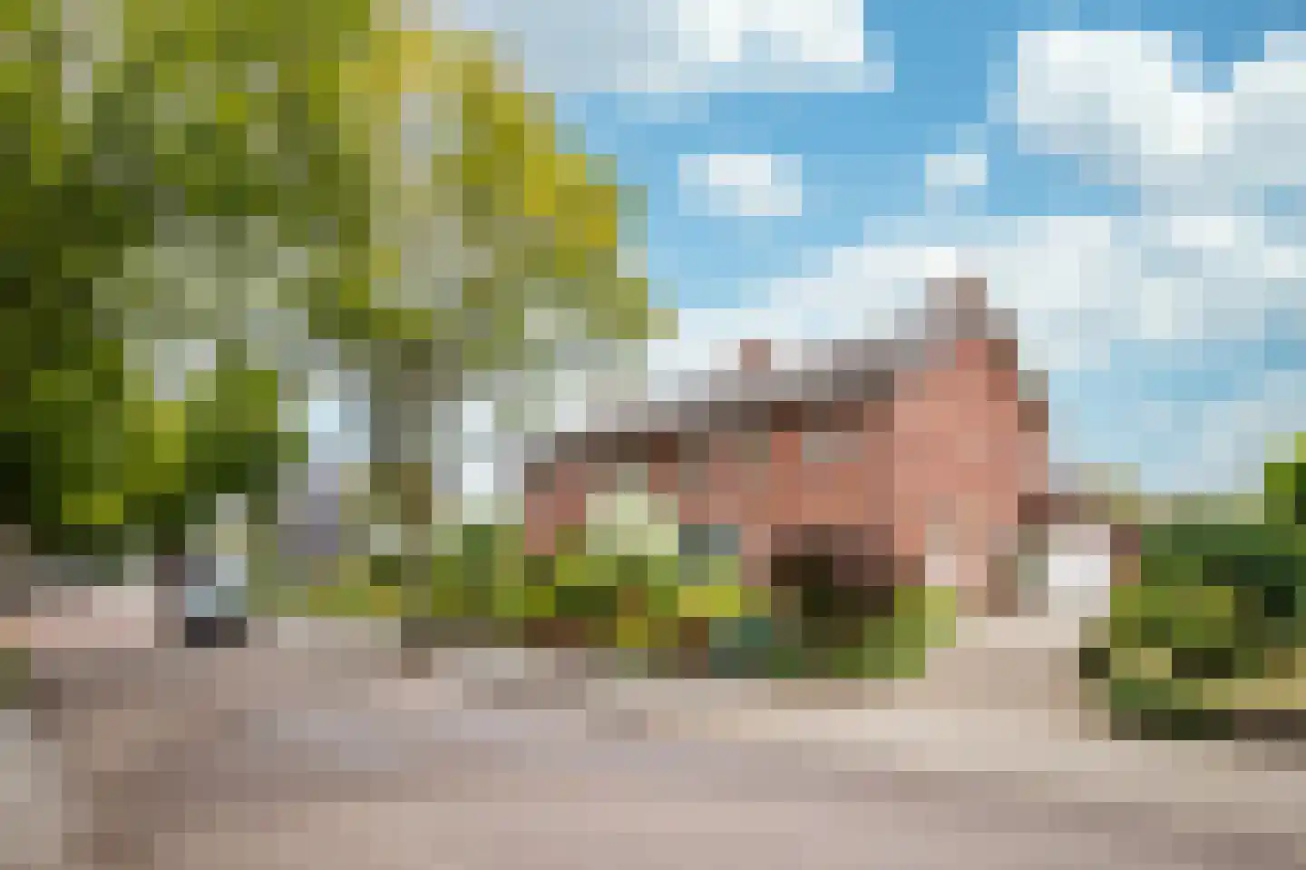 Le Bron de Vexelastraat 10 Roermond thumbnail 28