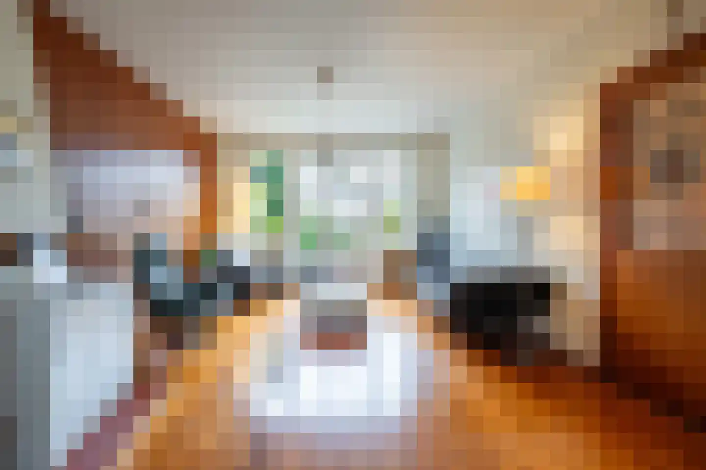 Le Bron de Vexelastraat 10 Roermond thumbnail 4