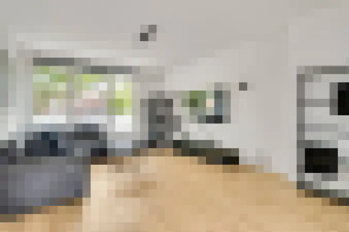 Le Bron de Vexelastraat 15 Roermond thumbnail 14