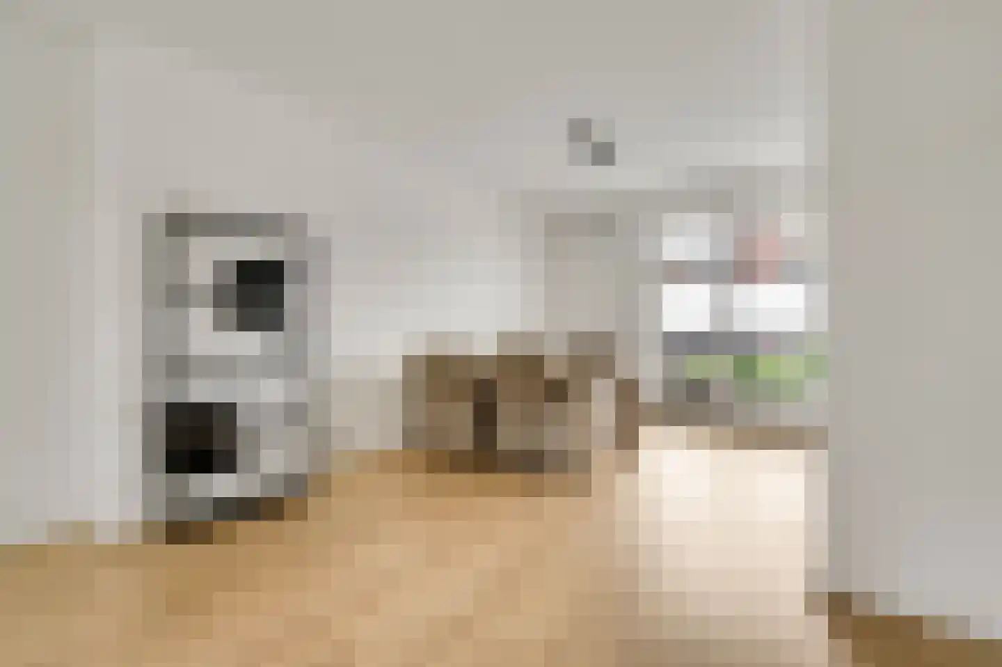 Le Bron de Vexelastraat 15 Roermond thumbnail 17