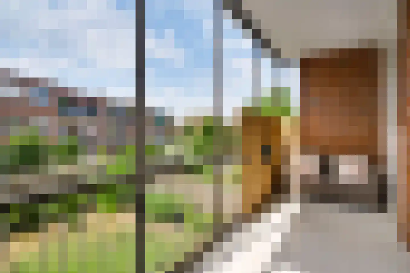 Le Bron de Vexelastraat 15 Roermond thumbnail 20