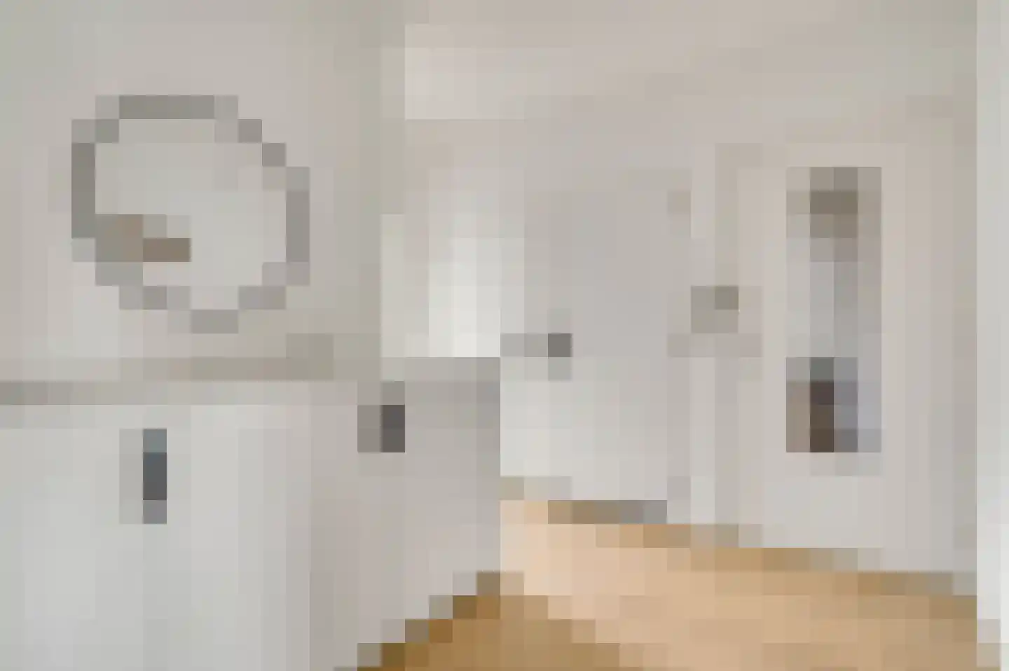 Le Bron de Vexelastraat 15 Roermond thumbnail 7