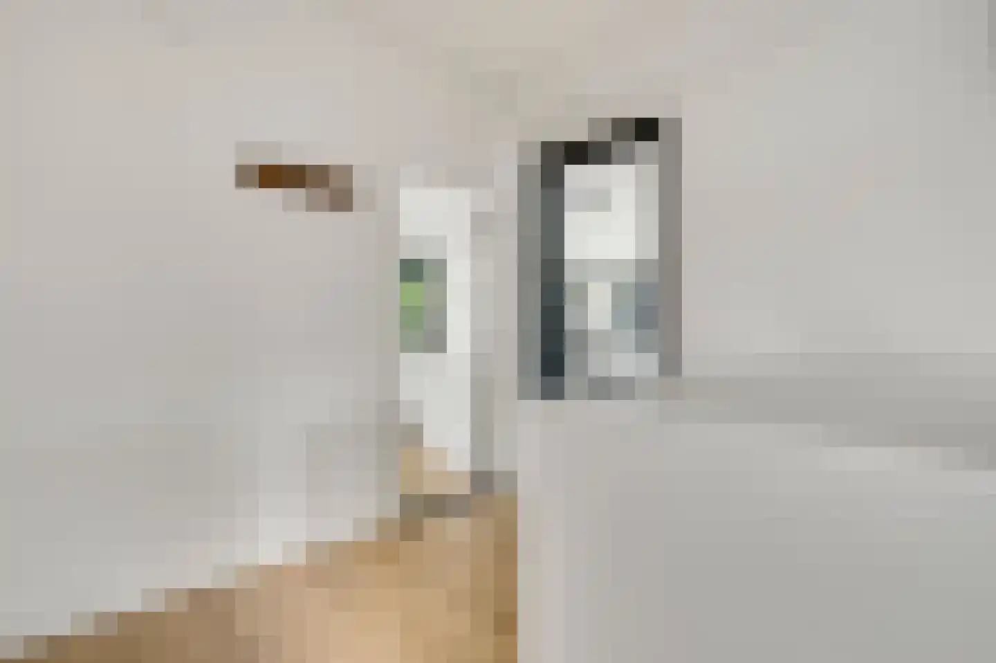 Le Bron de Vexelastraat 15 Roermond thumbnail 8