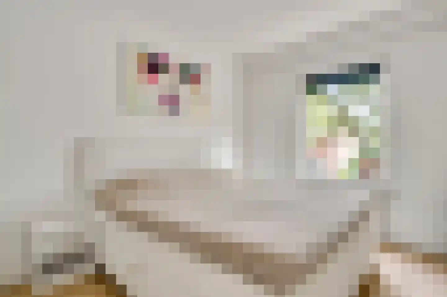 Le Bron de Vexelastraat 15 Roermond thumbnail 9