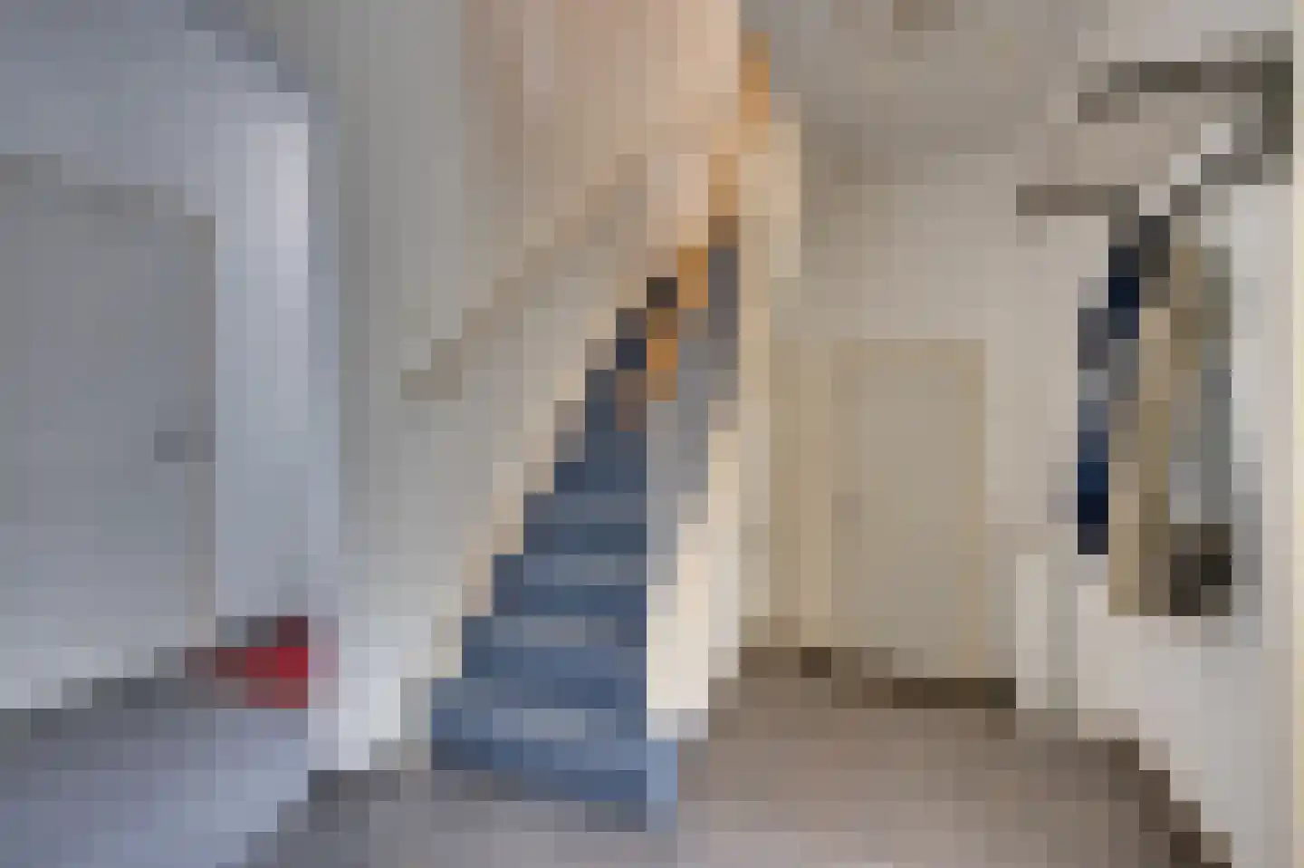 Le Bron de Vexelastraat 2 Roermond thumbnail 11