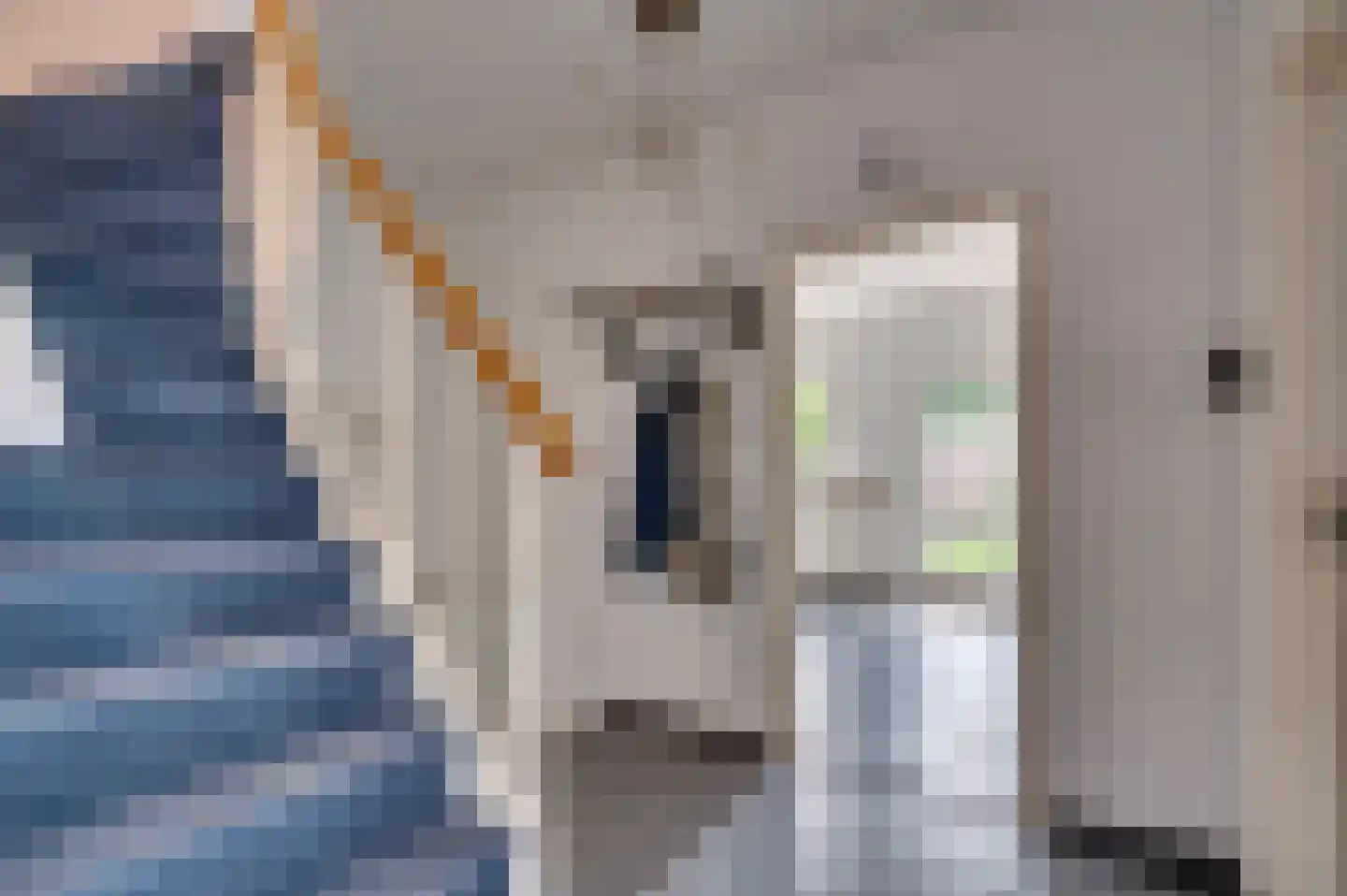 Le Bron de Vexelastraat 2 Roermond thumbnail 12