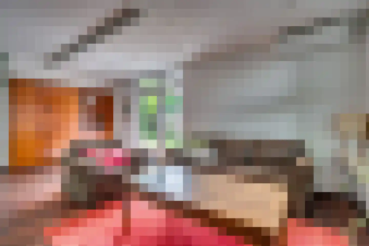 Le Bron de Vexelastraat 2 Roermond thumbnail 18