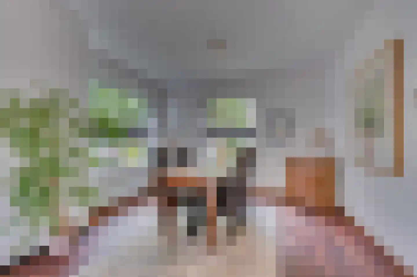 Le Bron de Vexelastraat 2 Roermond thumbnail 19