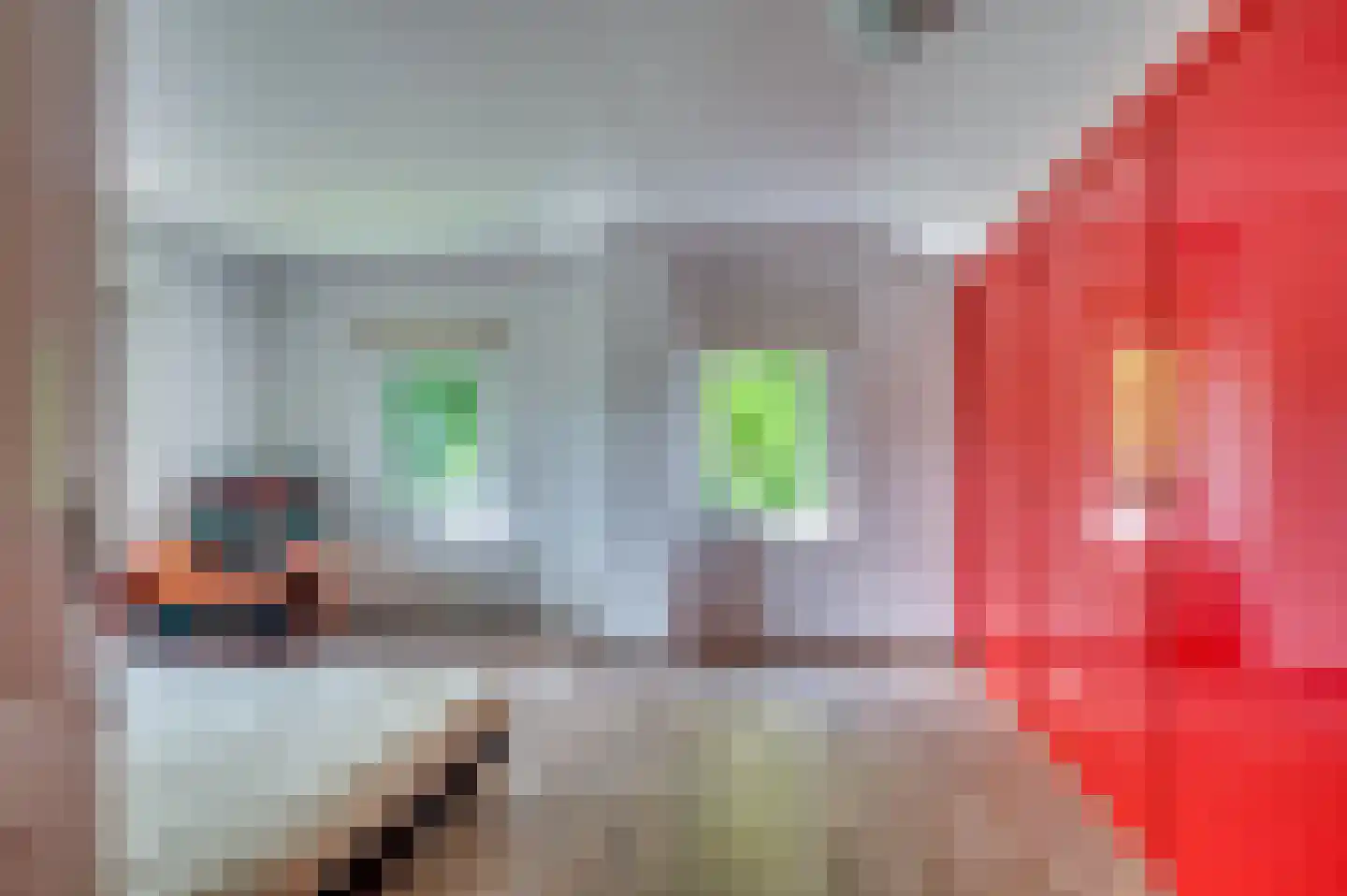 Le Bron de Vexelastraat 2 Roermond thumbnail 30