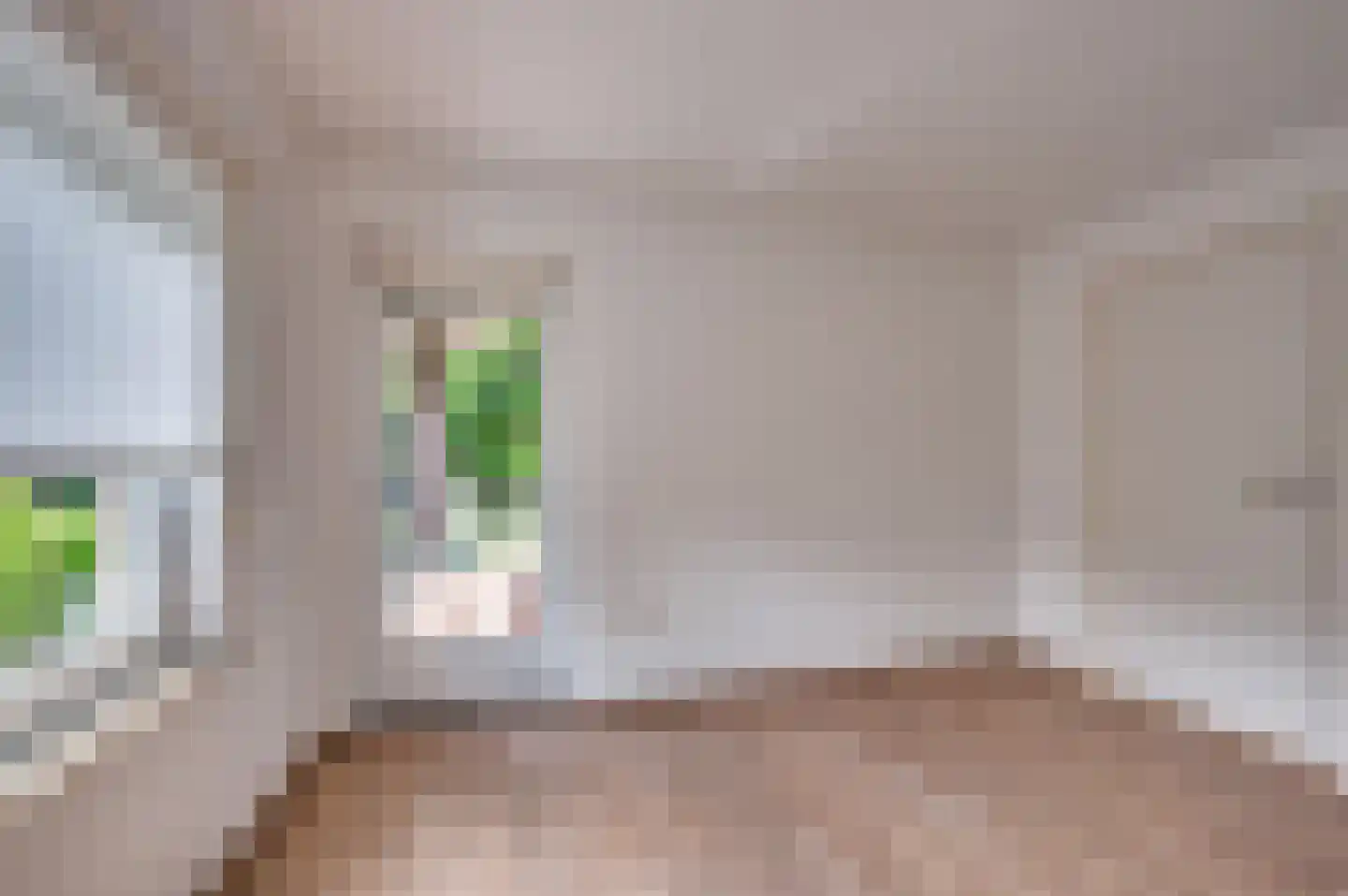 Le Bron de Vexelastraat 2 Roermond thumbnail 36