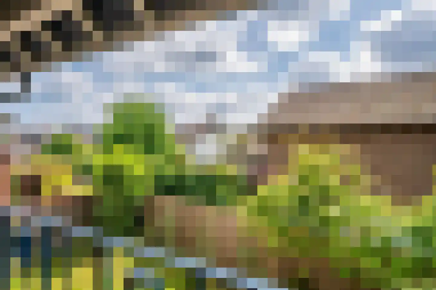 Le Bron de Vexelastraat 2 Roermond thumbnail 38