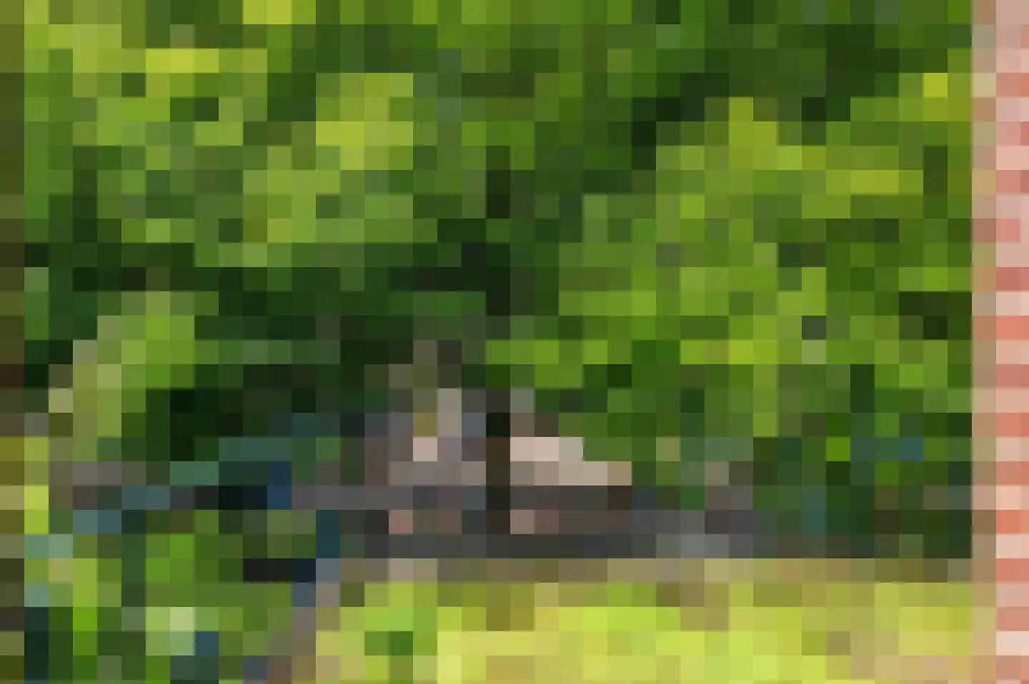Le Bron de Vexelastraat 2 Roermond thumbnail 39