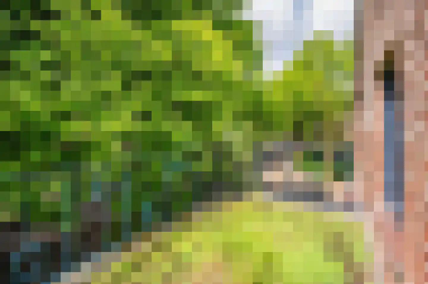 Le Bron de Vexelastraat 2 Roermond thumbnail 40