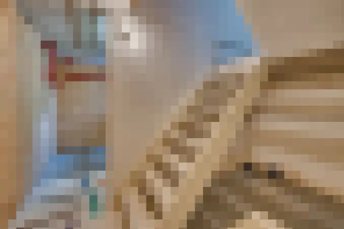 Le Bron de Vexelastraat 2 Roermond thumbnail 45