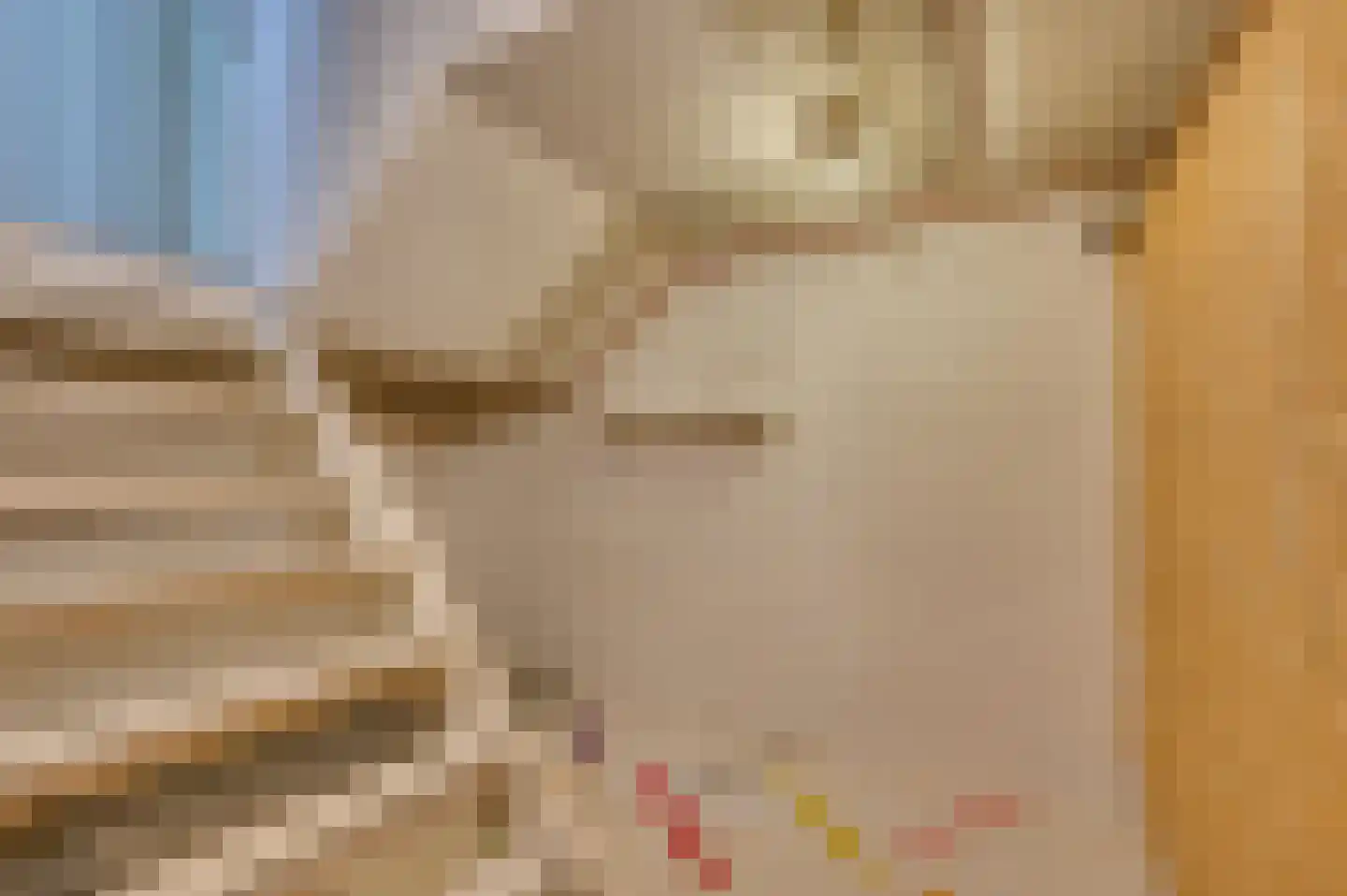 Le Bron de Vexelastraat 2 Roermond thumbnail 46