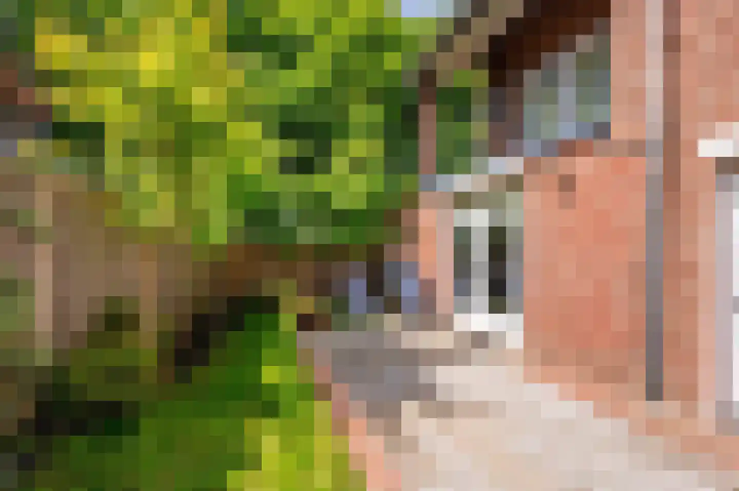 Le Bron de Vexelastraat 2 Roermond thumbnail 49