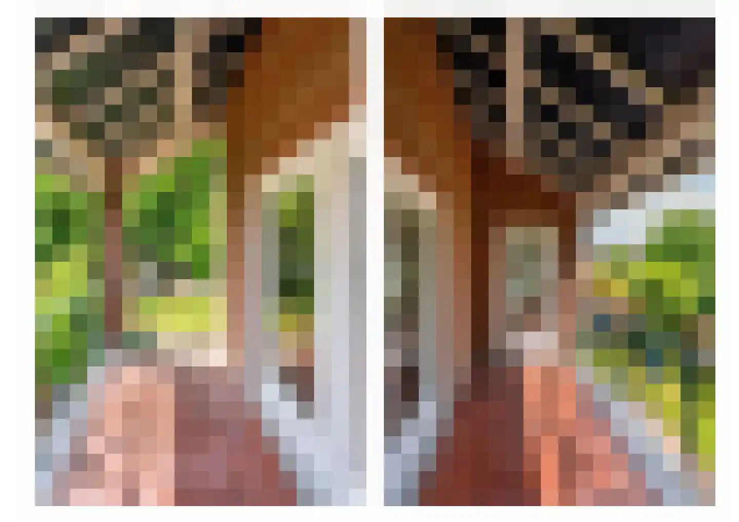 Le Bron de Vexelastraat 2 Roermond thumbnail 5