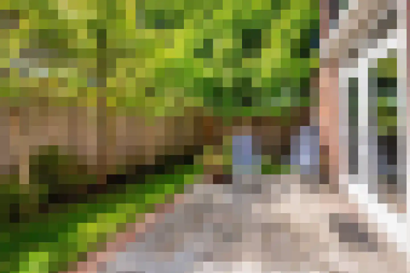 Le Bron de Vexelastraat 2 Roermond thumbnail 50