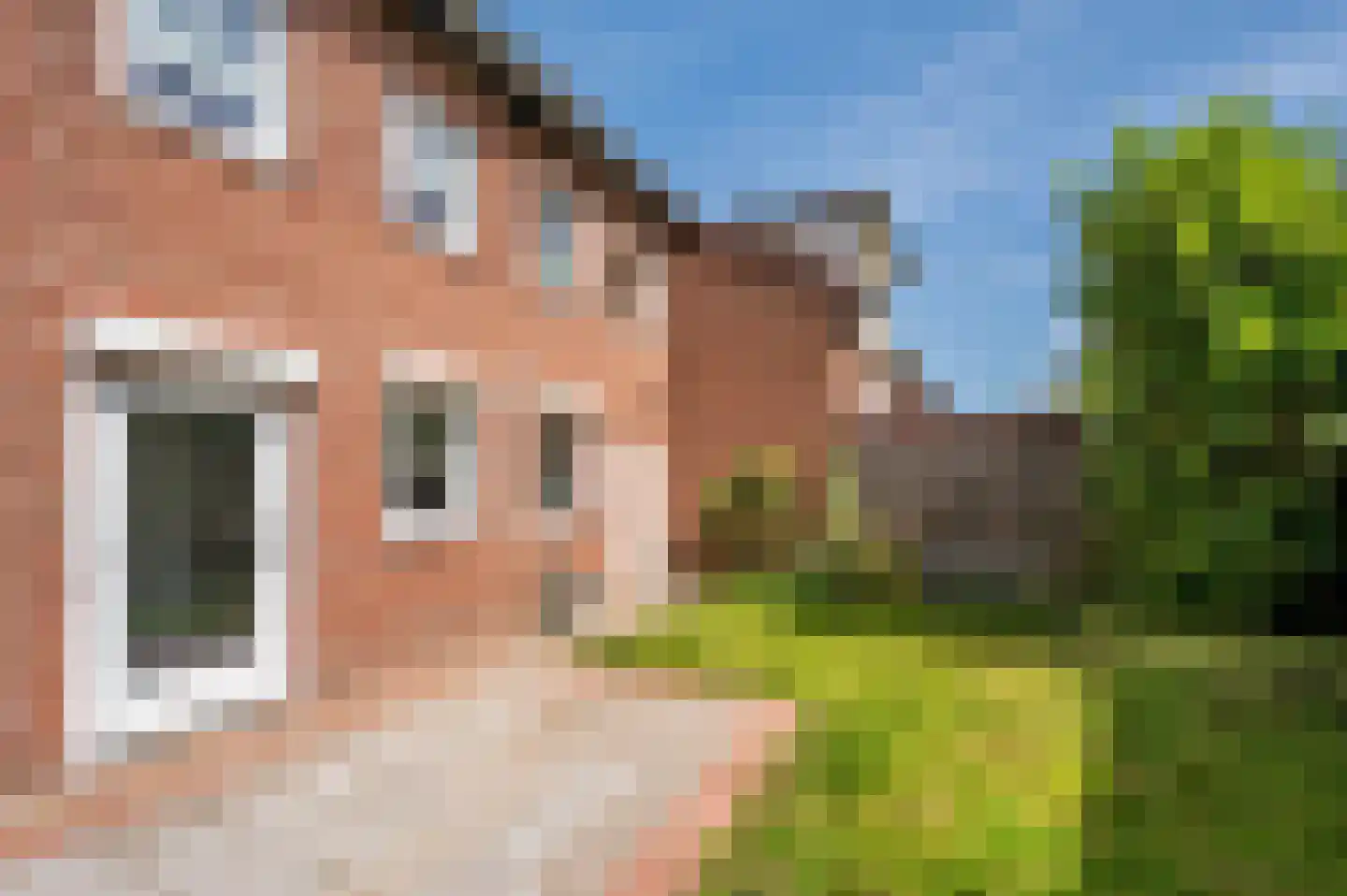 Le Bron de Vexelastraat 2 Roermond thumbnail 51