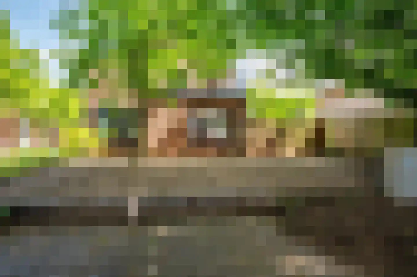 Le Bron de Vexelastraat 2 Roermond thumbnail 54
