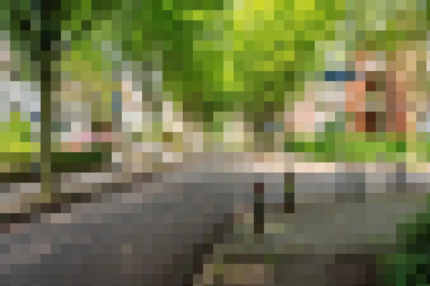 Le Bron de Vexelastraat 2 Roermond thumbnail 59