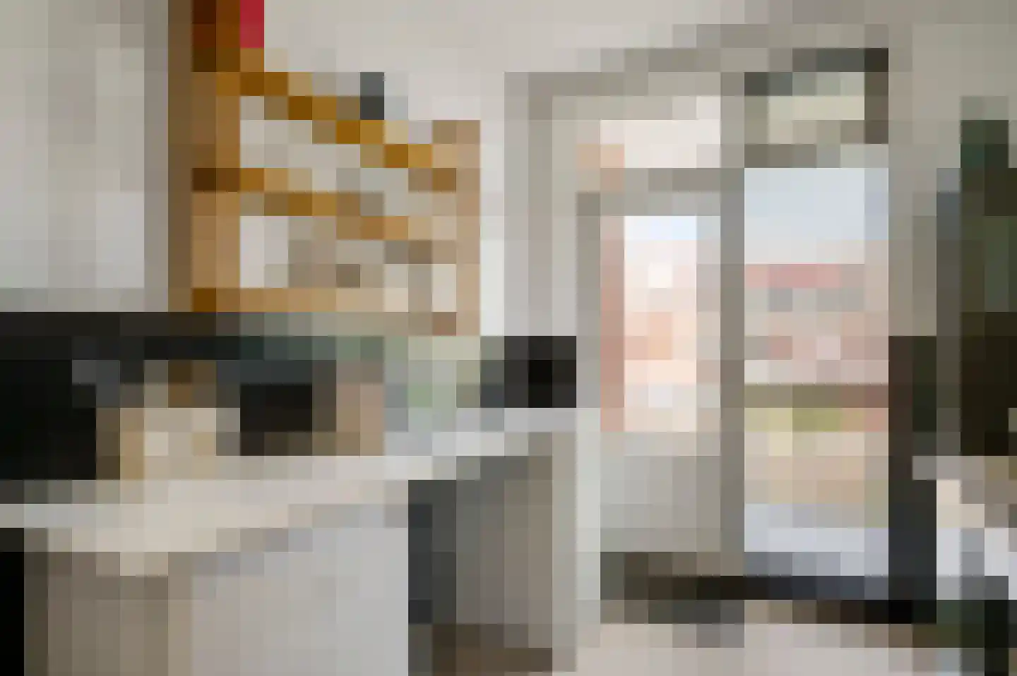Le Bron de Vexelastraat 21 Roermond thumbnail 18