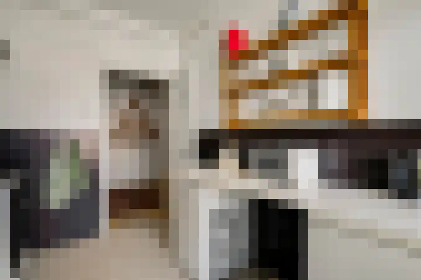 Le Bron de Vexelastraat 21 Roermond thumbnail 19