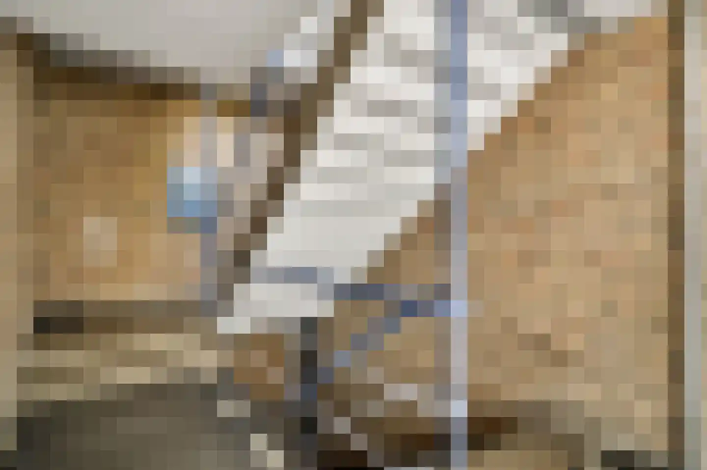 Le Bron de Vexelastraat 21 Roermond thumbnail 5