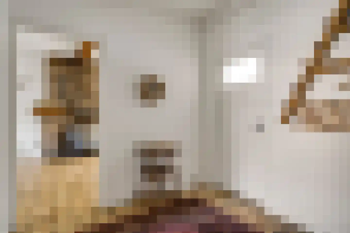 Le Bron de Vexelastraat 21 Roermond thumbnail 6