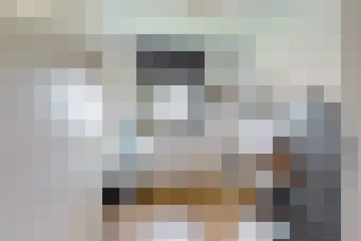 Le Bron de Vexelastraat 30 Roermond thumbnail 11