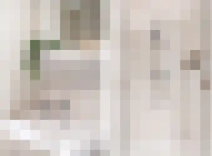 Le Bron de Vexelastraat 30 Roermond thumbnail 13