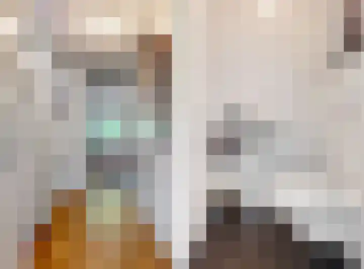 Le Bron de Vexelastraat 30 Roermond thumbnail 14