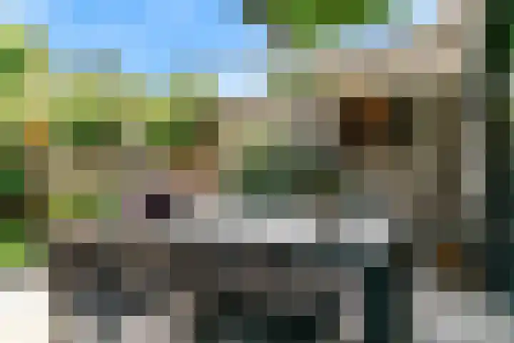 Le Bron de Vexelastraat 30 Roermond thumbnail 20
