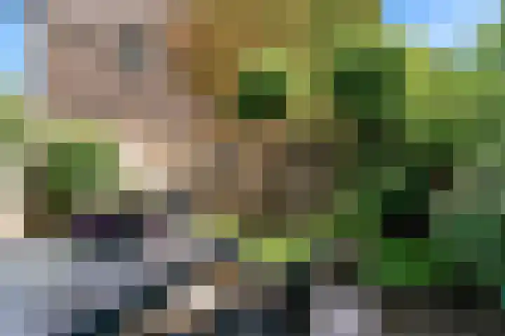 Le Bron de Vexelastraat 30 Roermond thumbnail 21